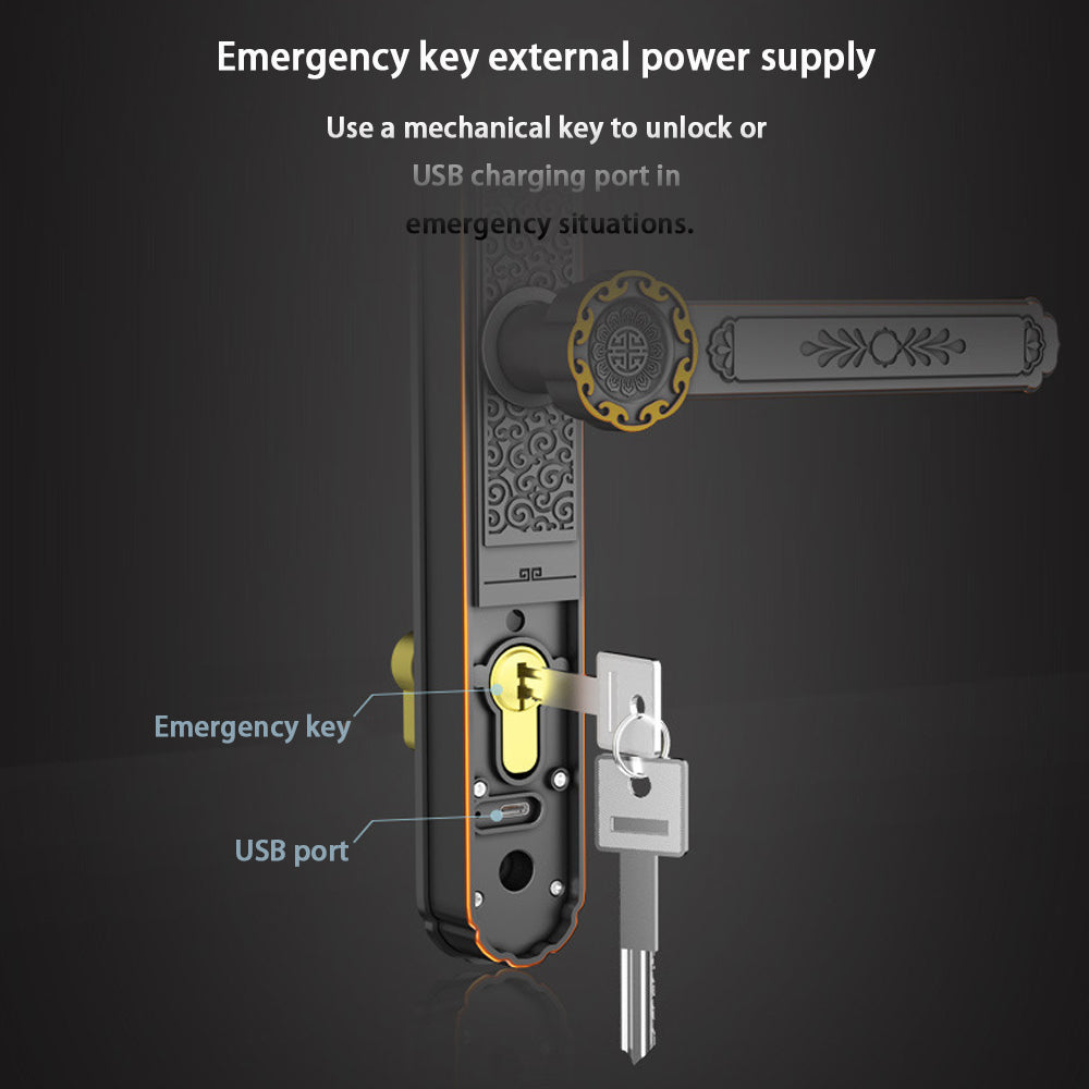 Biometric Fingerprint Door Lock,Digits Pad