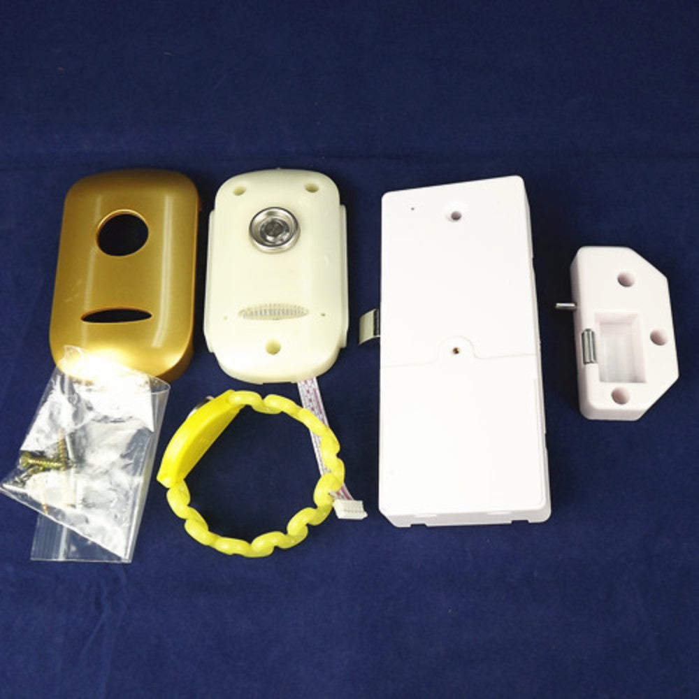 DS1990/DS1900A, CARD cabinet lock,suana lock