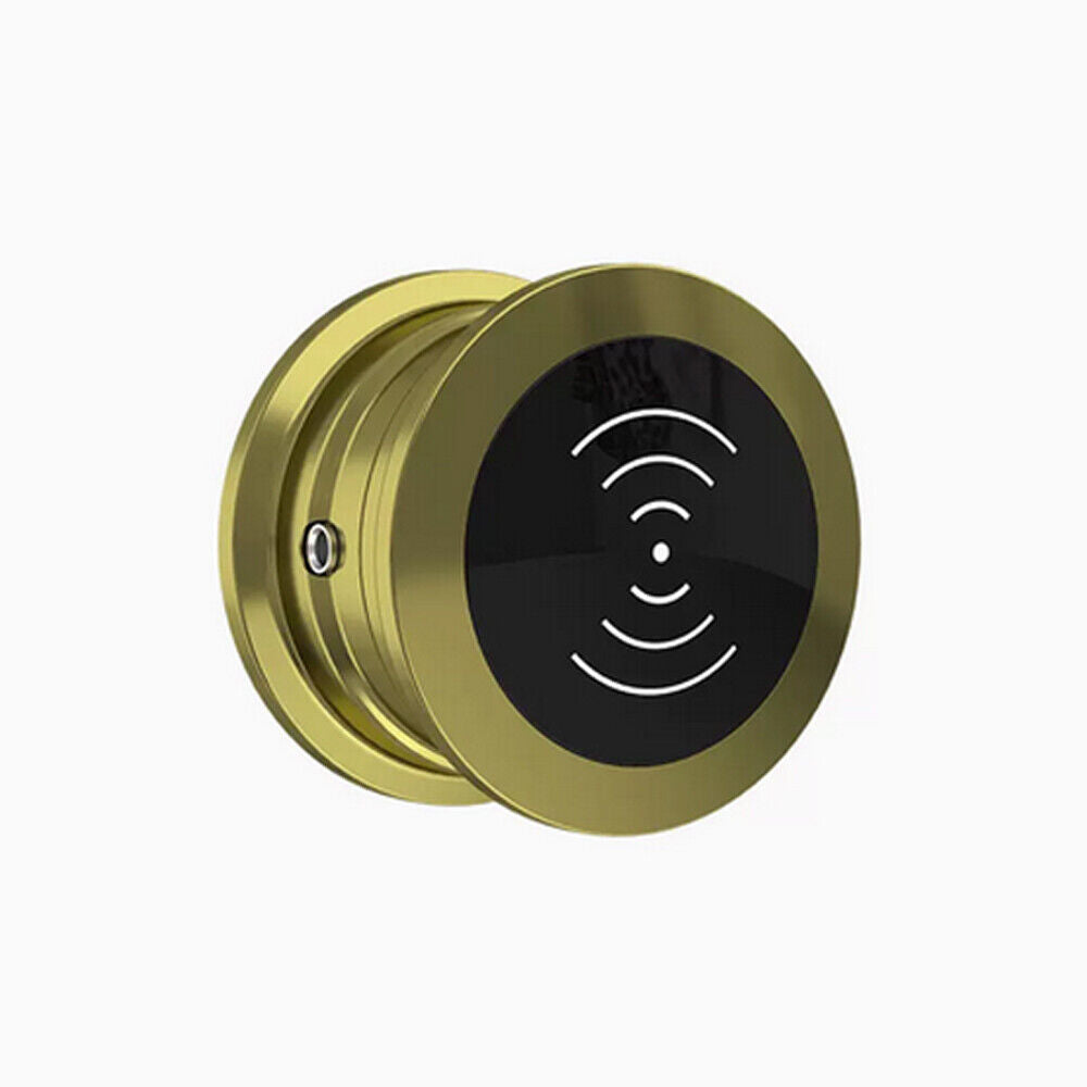 125KHz , EM/ID , Metal Electronic Induction Lock ,Storage Cabinet ,Sauna Lock