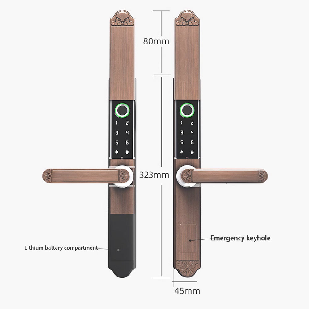 Biometric Fingerprint Door Lock,Digits Pad