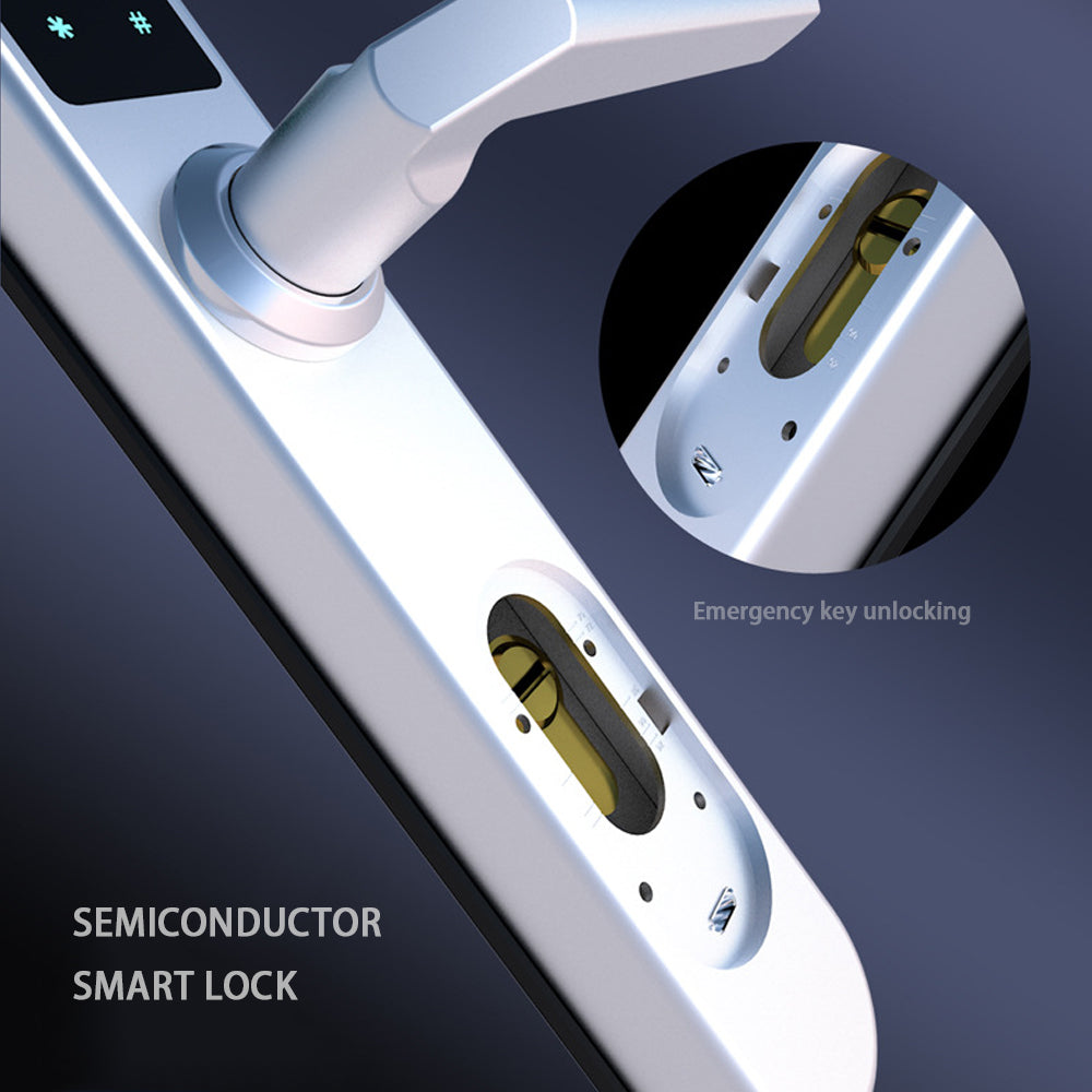 Biometric Fingerprint Door Lock,Digits Pad