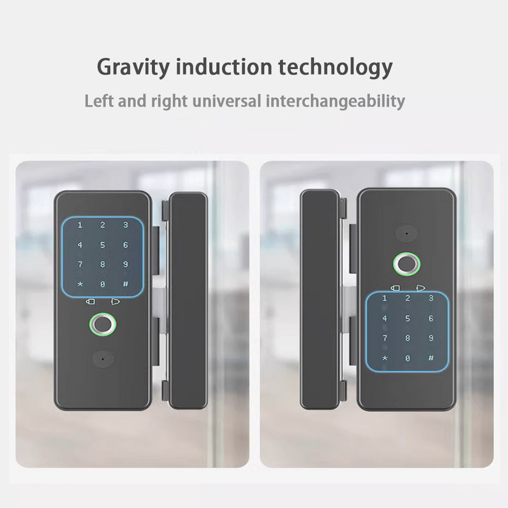 Glass Door Electronic Intelligent Fingerprint Lock