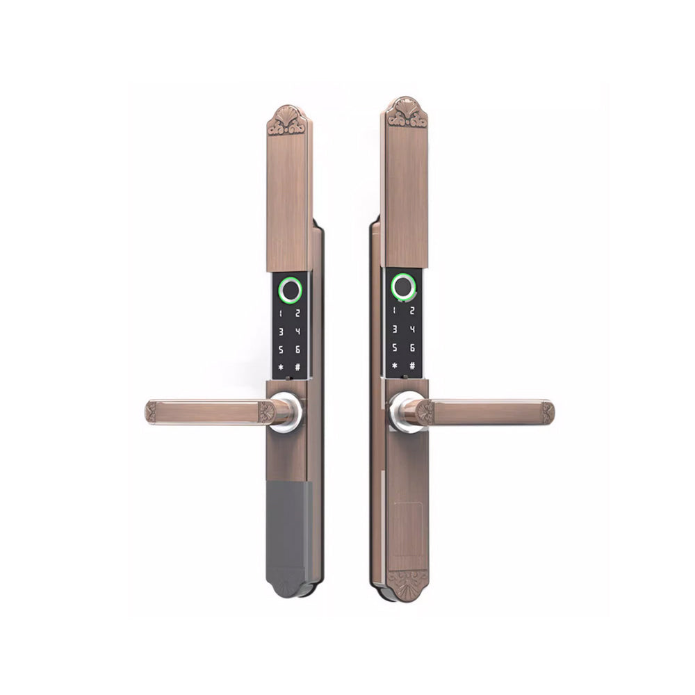 Biometric Fingerprint Door Lock,Digits Pad