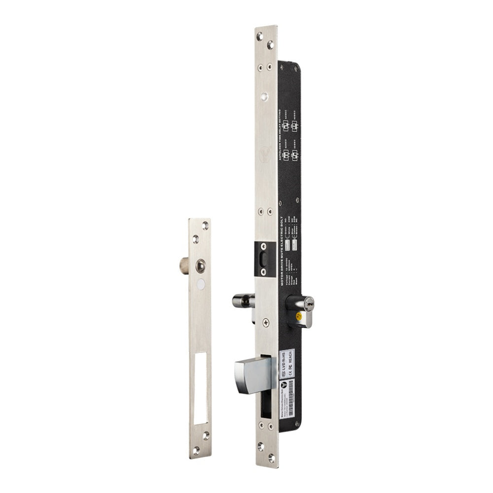 DC12-24V High Security Motor Driven Electric Lock
